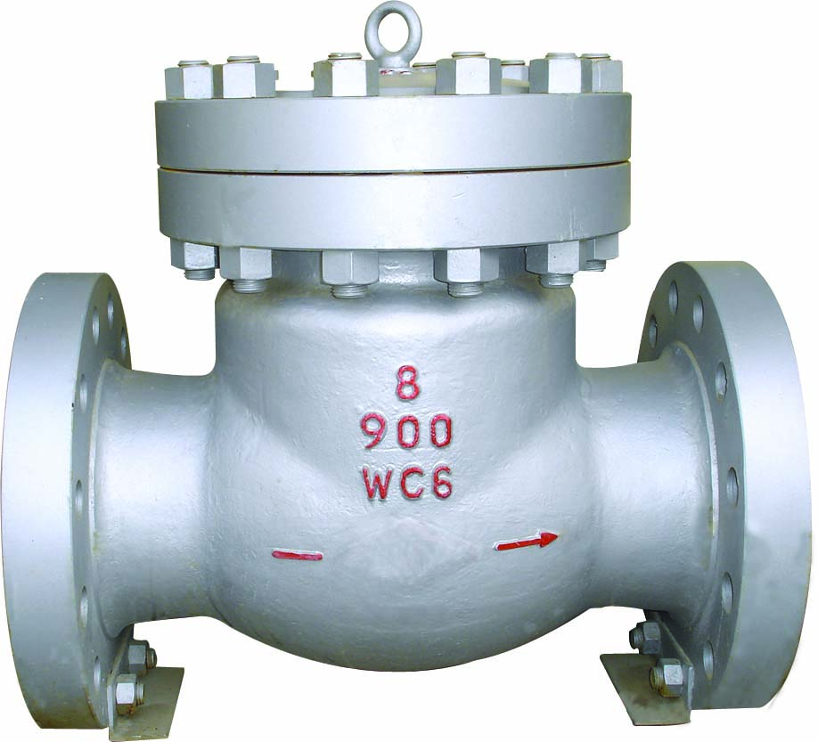 900LB Cast Steel Check Valve